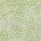 Homeroots 10' X 14' Artichoke Green And Ivory Geometric Washable Indoor Outdoor Area Rug 595048 - alternate 6