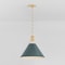 Hudson Valley Lighting Painted No. 2 16 in. Pendant in Aged Brass/Soft Studio Green by Mark D. Sikes MDS352-AGB/SSG - alternate 5