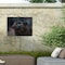 Trademark Fine Art Outdoor Canvas Art - David Stribbling 'Black Panther 3' Wall Art for Patios, or Gardens GRL00365-OC2432WR - alternate 6