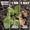 Spruce Snap & Spray Weed and Vegetation Killers RTU Liquid 64 fl. oz. 810121300435 - alternate 8