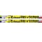 Musgrave Pencil Co 100th Day Of School Motivational Pencils, 144PK MUS2489G - alternate 3