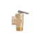 Proline Series 3/4-in F1960 PEX Brass Isolation Valve Kit w/ Pressure Relief Valve 102-140 - alternate 6