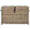 Happimess Michael 35.5in Wicker Storage Trunk, Natural HPM9004B - alternate 7