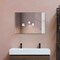 Fab Glass And Mirror Medium Rectangle Hooks Mirror (40 in. H x 18 in. W), Tempered, Glass, Wall Mirror, Clear Finish MRec18x40BE6MM - alternate 6