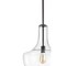 Jonathan Y Watts 13.25" 1-Light Mid-Century Modern Iron/Glass LED Pendant, Oil Rubbed Bronze/Clear JYL6401B - alternate 11