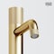 Vigo Apollo Button Operated Single-Hole Bathroom Vessel Faucet in Matte Brushed Gold VG03031MG - alternate 6