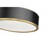 Z-Lite Bradley 1 Light Flush Mount, Matte Black and Modern Gold, 16 In W 1018F16-MB-MGLD-LED - alternate 3