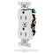 Leviton Duplex Receptacle/Outlet, 15 Amp 5242-I - alternate 2