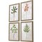 Homeroots Set Of Four Botanical I Gold Framed Print Wall Art, 4PK 526121 - alternate 1
