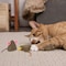 Smartykat Mousy Mayhem Compressed Catnip Mice Cat Toy, 2PK 32202-99997-024 - alternate 4