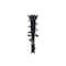 Fcs Struts Suspension Strut And Coil Spring Assembly 1334466L - alternate 1