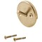 Delta Other Overflow Plate & Screws - Trip Lever RP31555CZ - alternate 1