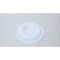 Wilden TEFLON PUMP DIAPHRAGM TF24 - alternate 1