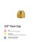 Proline Series Brass 3/8-in FL Cap FL-163B - alternate 4