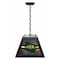 Holland Bar Stool North Dakota State University Pendant Box Light BxLM1 - alternate 1