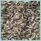 Coles Wild Bird Food 5 lb NI05 - alternate 2