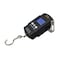 Arctic Hayes Digital Charge for all ZE kits SCALE - alternate 1