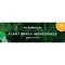 Seventh Generation Yuzu Basil Hand Dish Liquid, 19 Fluid Ounce, 6PK 69749633 - alternate 5