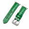 Elegani Alligator-Embossed Leather Band Compatible with Apple Watch 40mm, Green, Black Buckle LAT4-GRN-BLK-40 - alternate 1