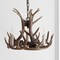 Jonathan Y Nelle 18" Adjustable Resin Antler 3-Light LED Chandelier, Brown JYL6304A - alternate 15