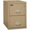 Fireking 2 Drawer, 2 Hr Fire & Impact Rated, Vertical, 31" depth Letter Sand 2-1929-2SA - alternate 1