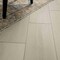 Ackland Parkland Sandy Haze 9inx60in 6.5MM 20MIL Waterproof Rigid Core Luxury Vinyl Plank Flooring, , 240PK AKVRCSAHA9X60-6520-PL - alternate 5