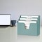 Acrimet Horizontal Triple File Folder Holder Organizer (Solid Green Color) 860.VO - alternate 4