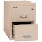 Fireking 2 Drawer, 1 Hr Fire & Impact Rated, Vertical, 31" depth Legal Champagne 2-2131-CCH - alternate 3