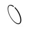 Agco RING, AGCO OEM 30-3403556 30-3403556 - alternate 4