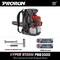 Prorun 79.9cc Commercial-Grade, 250 MPH, 1125 CFM, 50N, Gas Backpack Leaf Blower PBB3000 - alternate 7