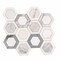Apollo Tile Toscana 10x11 in. Polished Calacatta Bluette, Calacatta Thassos White Hexagon Mosaic Tile, 5PK APLEML88G47A - alternate 1