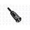 Fcs Struts Suspension Strut And Coil Spring Assembly 1345701R - alternate 4