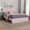 Baxton Studio Elora Modern Light Pink Pleated Velvet Queen Size Storage Bed 255-13812-ZORO - alternate 7