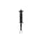 Fcs Struts Suspension Strut And Coil Spring Assembly 1345969R - alternate 1