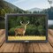 Befree Sound Portable 14 Inch LED TV with HDMI and Built-in Digital Tuner in Black BFS-TV14-BLK - alternate 5