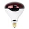 Feit Electric Incandescent Lamp, 250 W, R40 Lamp, Medium E26 Lamp Base, 2700 K Color Temp, 2000 hr Average Life 250R40/R - alternate 1