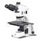 Motic Instruments Usa Panthera TEC-BD/DF/RL Trinocular Compound Upright Microscope with 6x4 Stage 1100104600221 - alternate 1