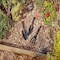 Corona Tools 3-Pc. Garden Hand Tools Set CT 2000 - alternate 4