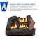 Hearthsense Ventless Dual Fuel Gas Log Set - 18 in., 30,000 BTU, Manual Control VFL18M - alternate 10