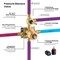 Kibi Cube Pressure Balanced 3-Function Shower System, Rough-In Valve KSF406BB - alternate 7