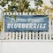Signmission Farm Fresh Blueberries, 18 Inch x 48 Inch, Vinyl Banner B-30580 - alternate 5