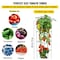 Vevor Tomato Cages Plant Support Cage Square Steel 3.8FT Green for Garden, 10PK VV-KZDFQJ11.8X46LS10Z - alternate 8