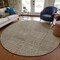 Homeroots 8' Brown And Beige Round Geometric Washable Indoor Outdoor Area Rug 596910 - alternate 6