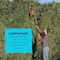 Black & Decker 20V MAX* Lithium Pole Hedge Trimmer LPHT120 - alternate 7