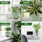 Campior Self-Watering Planters, 5 Size Indoor and Outdoor Plant Pots with Drainage Holes and Wick Rope CAMPPLTGR202 - alternate 7
