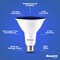 Bulbrite 90-W Equivalent, Blue Color PAR38 Weatherproof Outdoor E26 Medium Base Flood LED Light Bulb COLOR 861911 - alternate 5