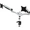 Amer Networks 15 to 28 in. Dual Monitor Mount with Articulating Arms HYDRA2 - alternate 1