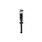 Fcs Struts Suspension Strut And Coil Spring Assembly 1345842L - alternate 1