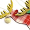 Martha Stewart Holiday Reindeer Ornament 4 Piece Set in Red and Green 97155.04 - alternate 5