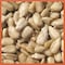 Coles Wild Bird Food 10 lb SM10 - alternate 2